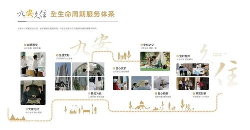 凈利潤同比增長12倍,眾安集團保持高質量發展